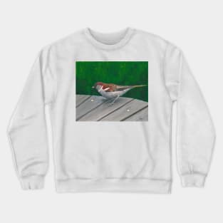 Crumbs Crewneck Sweatshirt